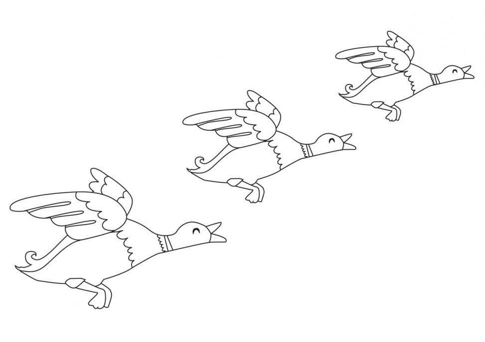 Flying ducks colouring sheet