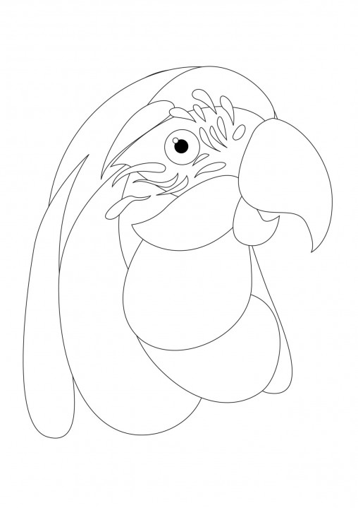 MACAW colouring sheet
