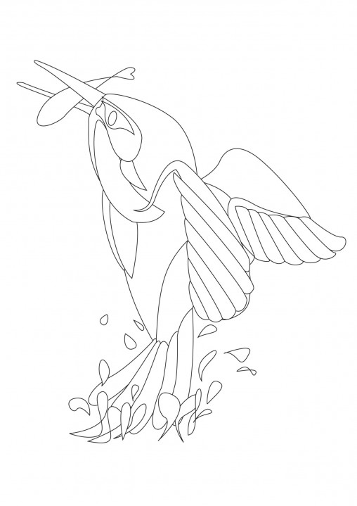 KINGFISHER colouring sheet